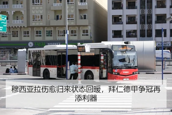 mu-xi-ya-la-shang-yu-gui-lai-zhuang-tai-hui-nuan-bai-ren-de-jia-zheng-guan-zai-tian-li-qi-3-543.jpg