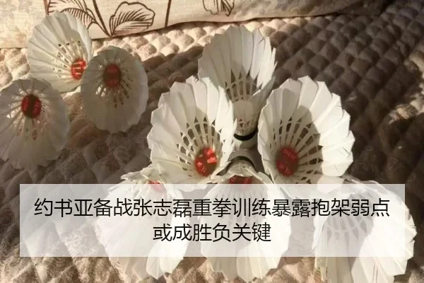 yue-shu-ya-bei-zhan-zhang-zhi-lei-zhong-quan-xun-lian-bao-lu-bao-jia-ruo-dian-huo-cheng-sheng-fu-guan-jian-2-327.jpg